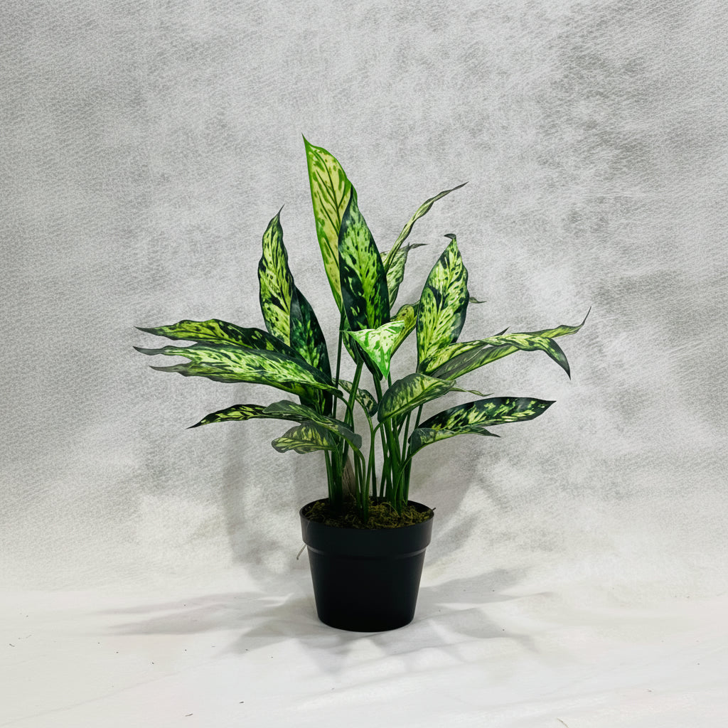 Artifcial Aglaonema Silver Queen 50cm