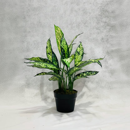 Artifcial Aglaonema Silver Queen 50cm