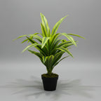 Artificial Dracaena Lemon Lime Head 65cm - THE GARDEN CENTRE