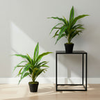 Artificial Dracaena Lemon Lime Head 65cm - THE GARDEN CENTRE