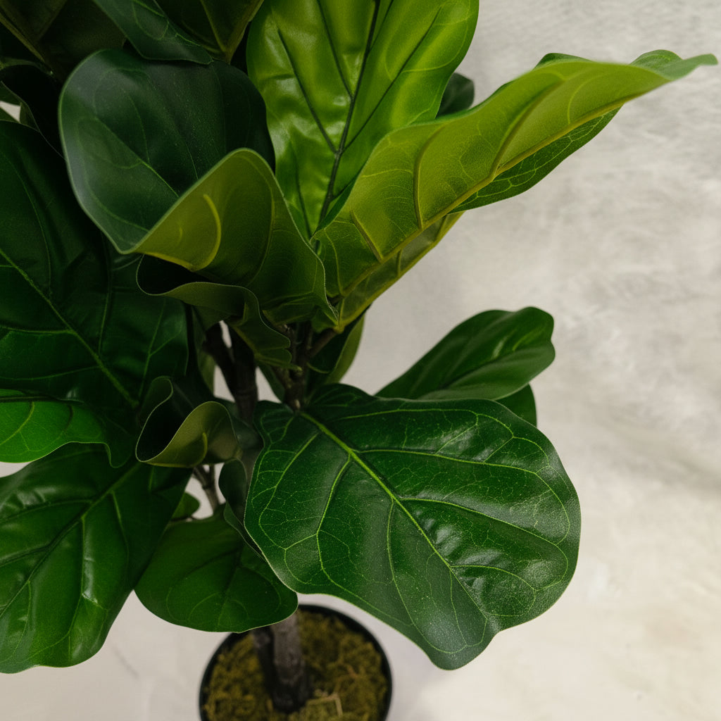 Artificial Ficus Lyrata on stem 120cm - THE GARDEN CENTRE