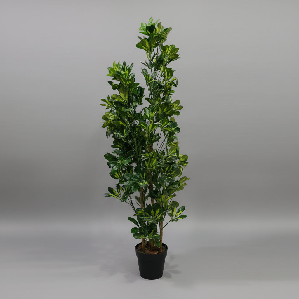 Artificial Schefflera Variegated 150cm - THE GARDEN CENTRE