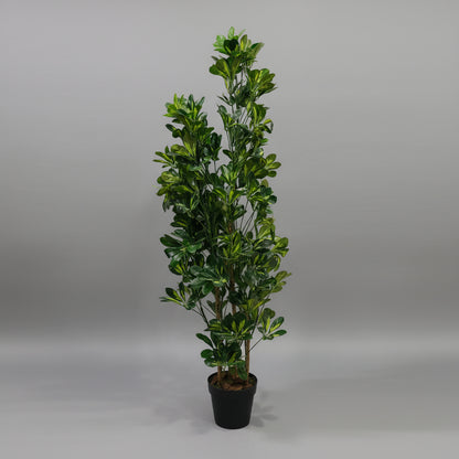 Artificial Schefflera Variegated 150cm