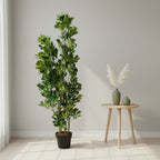 Artificial Schefflera Variegated 150cm - THE GARDEN CENTRE