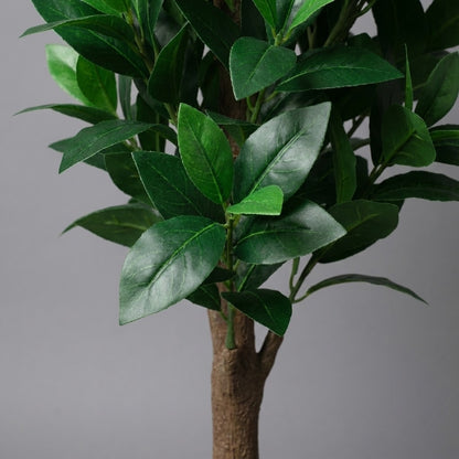 Artificial Laurus Nobillis 120cm- Bay Tree