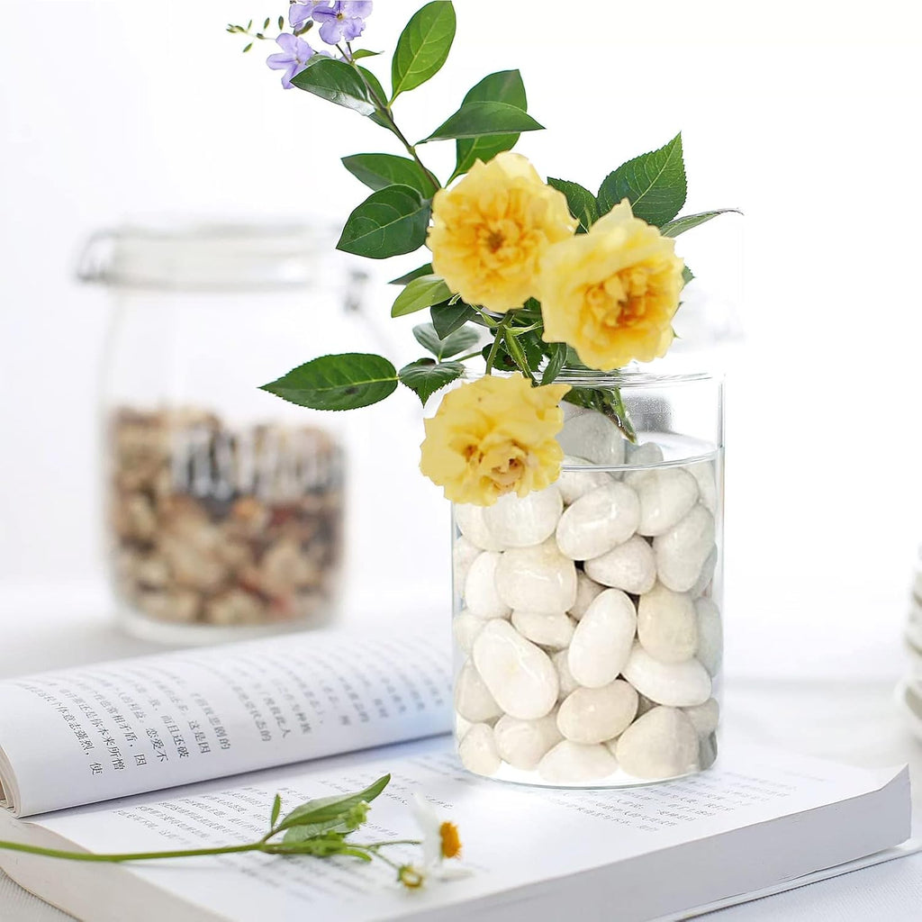 Polished Pebbles - THE GARDEN CENTRE