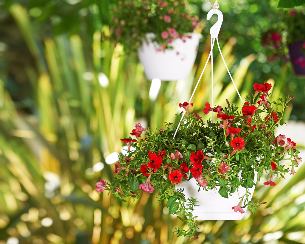 Artevasi Algarve Hanging Pot 19cm - THE GARDEN CENTRE