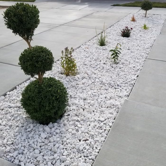 Polished Pebbles - THE GARDEN CENTRE