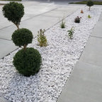 Polished Pebbles - THE GARDEN CENTRE