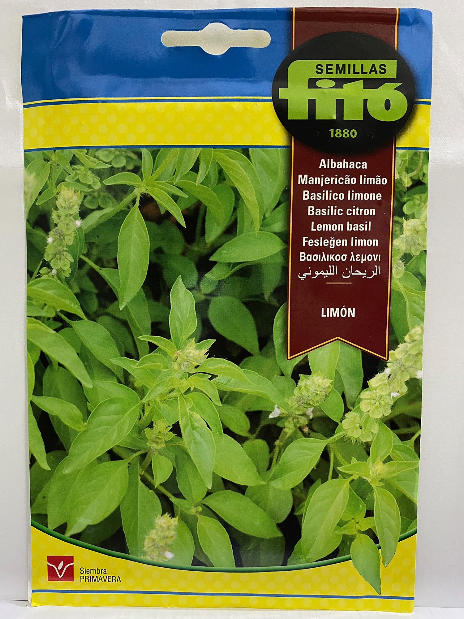 Fito Lemon basil