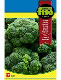 Fito Broccoli