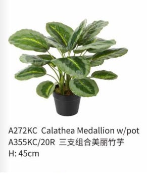 Artificial Calathea Plant