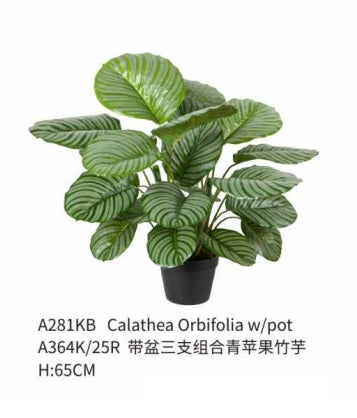 Artificial Calathea Plant