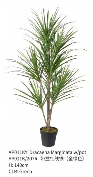 Artificial Dracaena Margineta 120-140cm