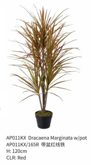 Artificial Dracaena Margineta 120-140cm