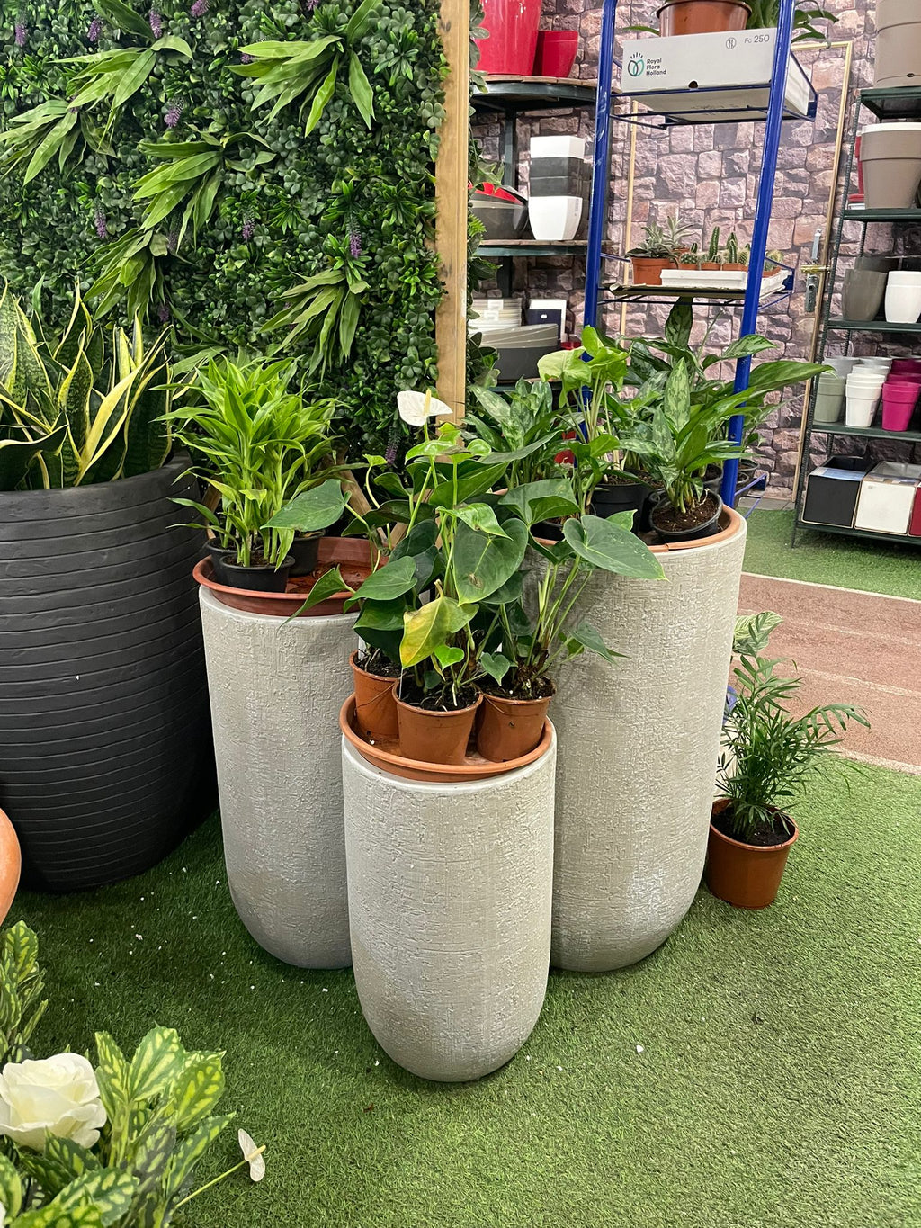 Elgin Cylindro - THE GARDEN CENTRE