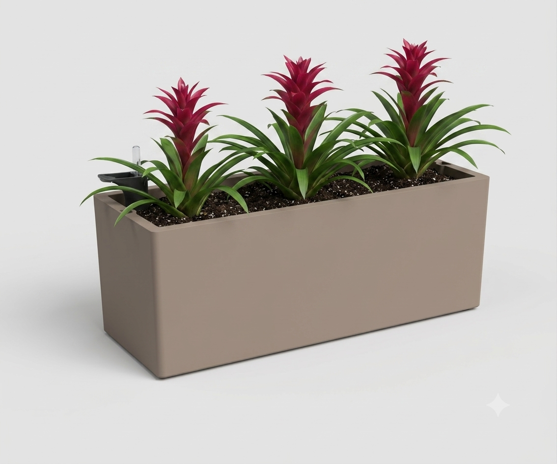Rectangular Planter with Plants