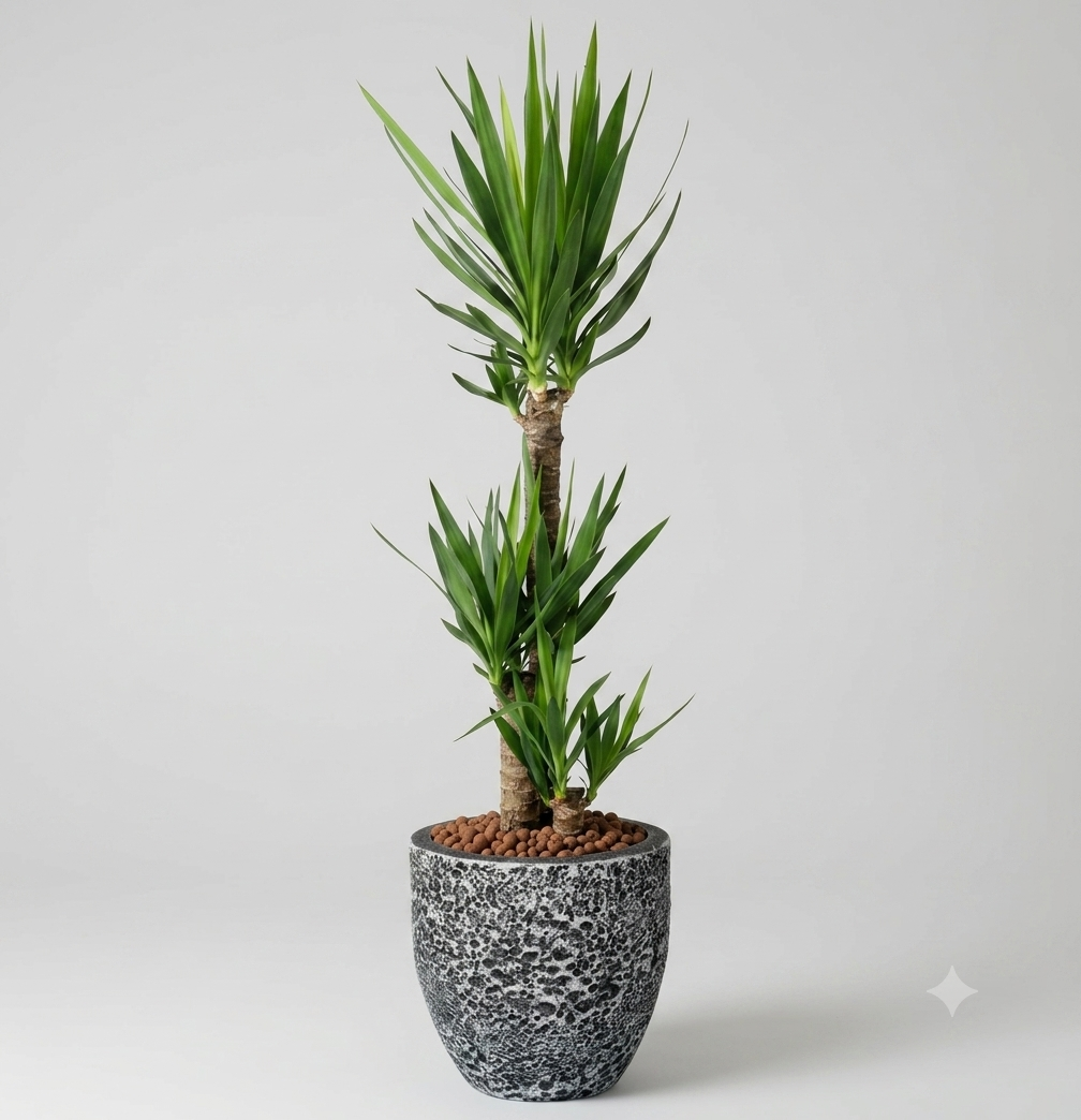 Rustico with Yucca Arrangement