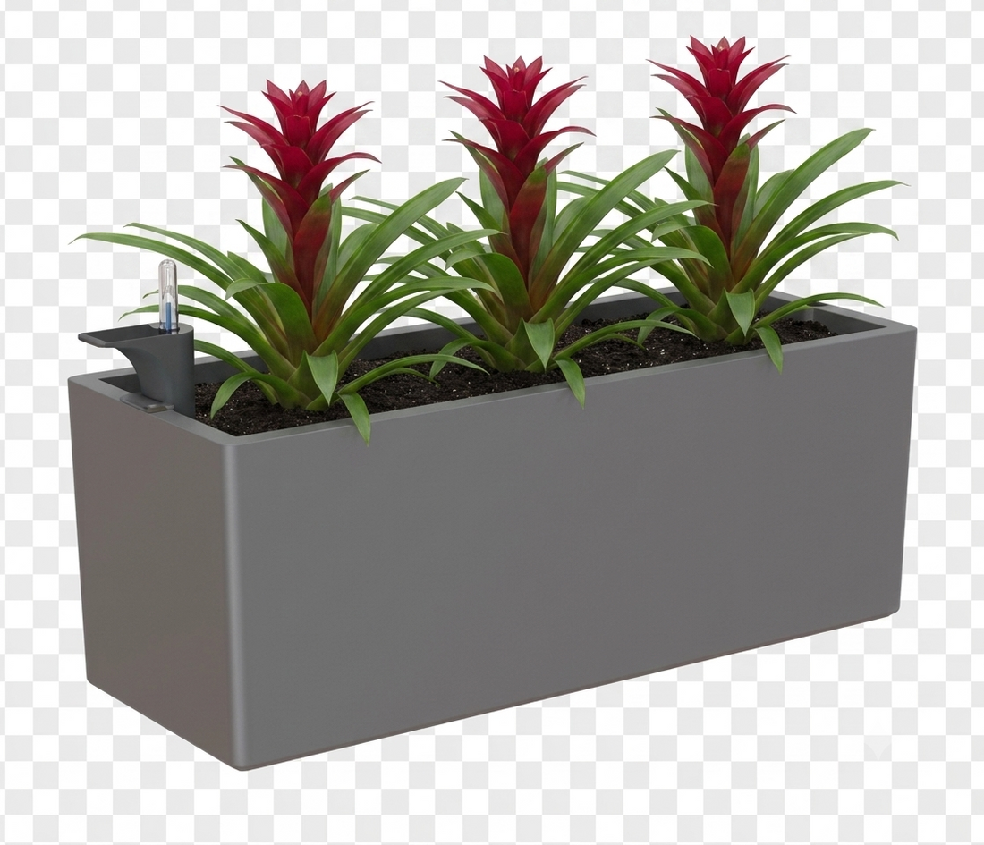 Rectangular Planter with Plants - THE GARDEN CENTRE