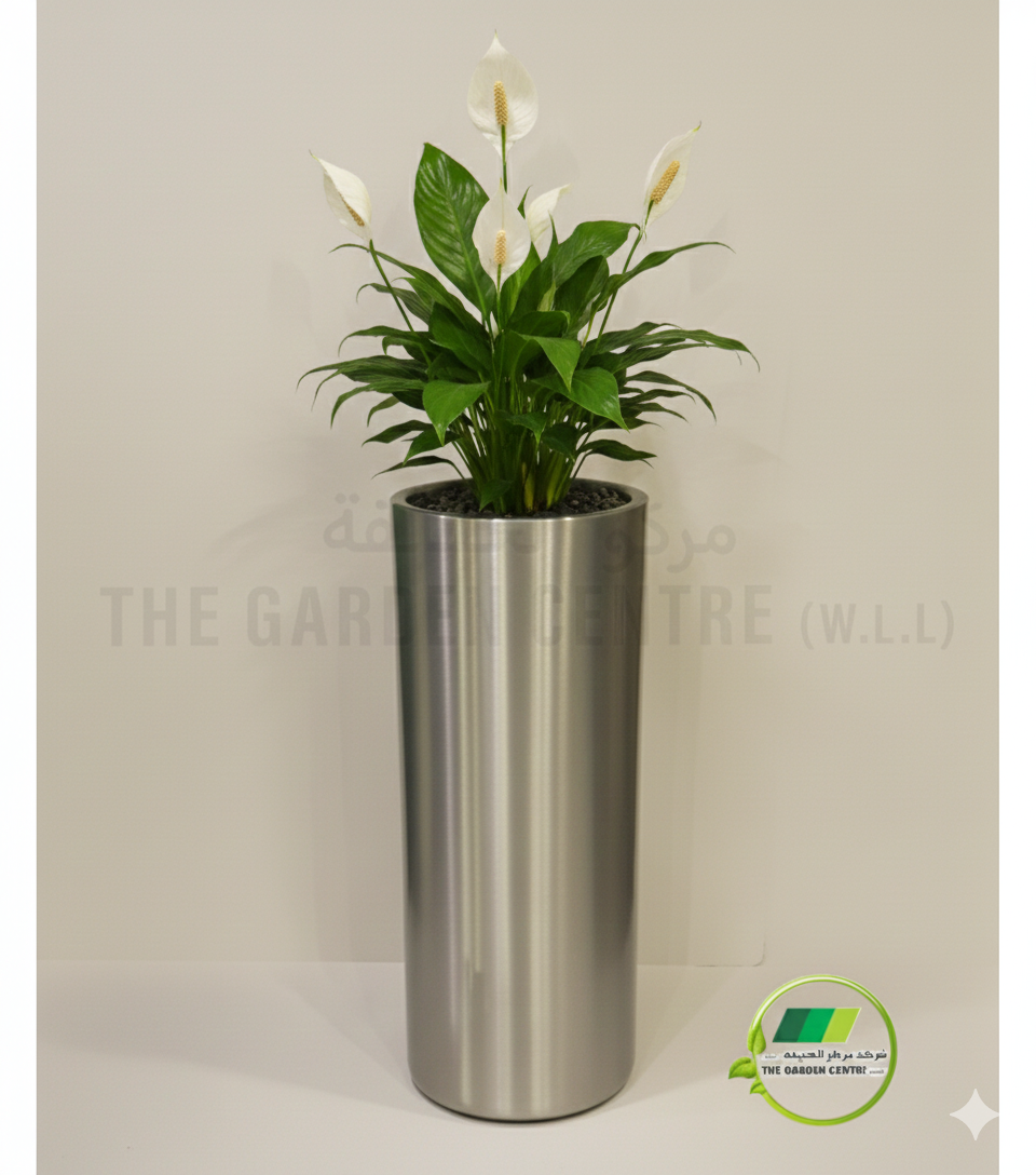 Aluminum Cylindro  with LIP Planter - Gold &amp; Chrome