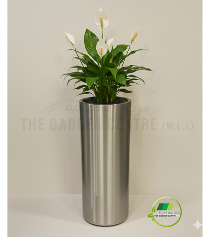 Aluminum Cylindro  with LIP Planter - Gold &amp; Chrome