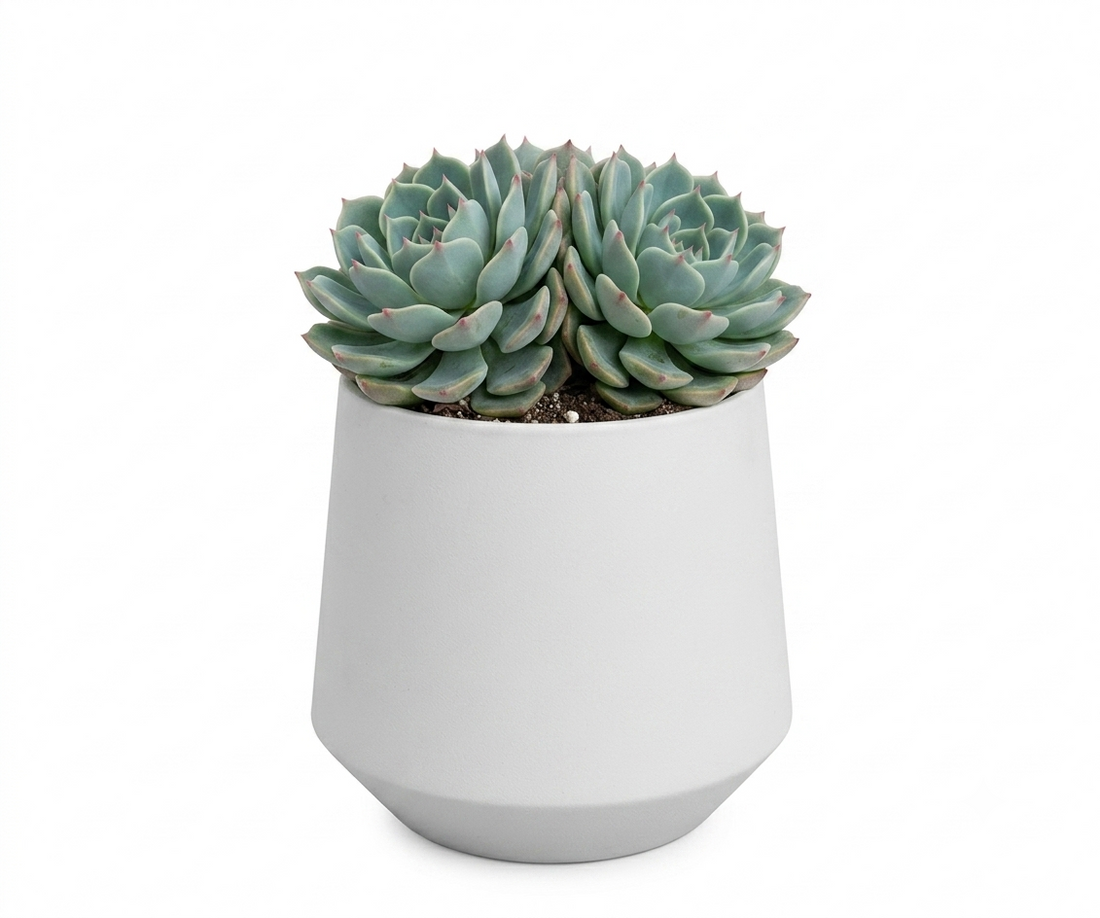 Small Table Planter Kit - THE GARDEN CENTRE