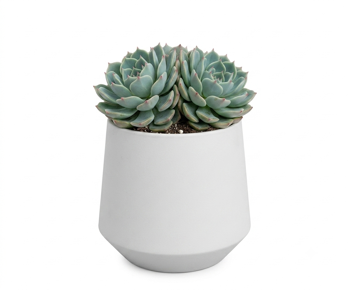Small Table Planter Kit
