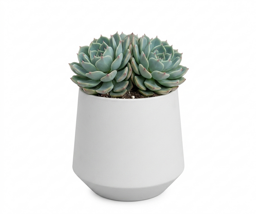 Small Table Planter Kit - THE GARDEN CENTRE