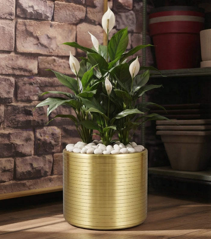 Artificial Peace Lily Arrangement with Metallic planter Gold - THE GARDEN CENTRE