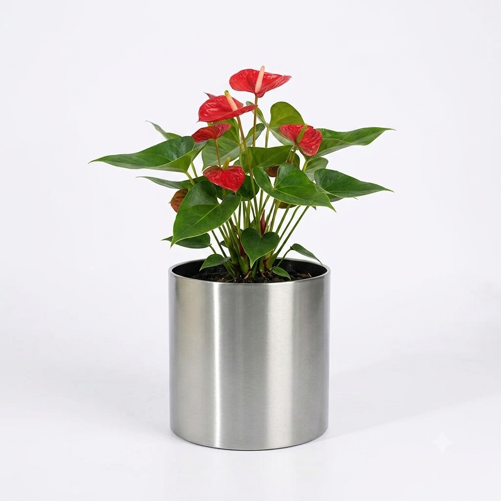 Stainless Steel Planter with Anthurium Plant