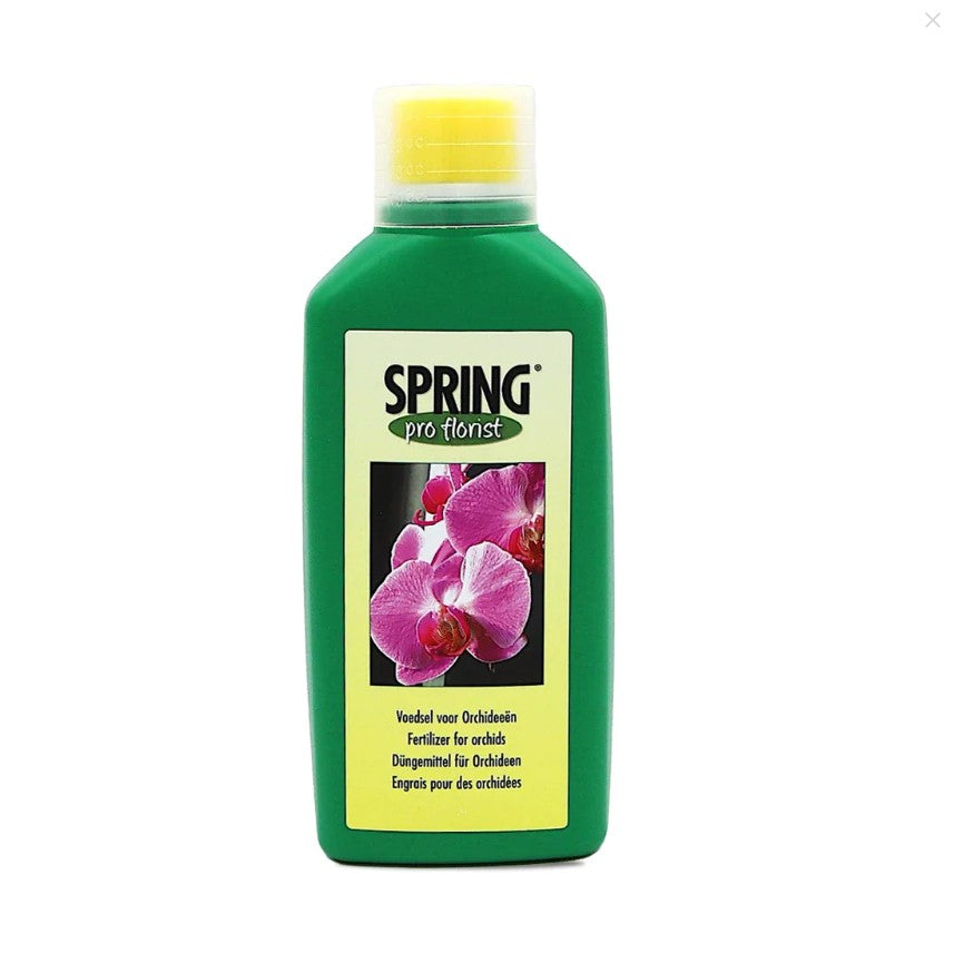 Spring Fertilizer - Orchid