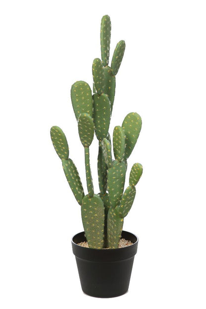 Artificial Cactus