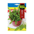 Fito Sativa-Rocket - THE GARDEN CENTRE
