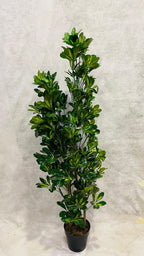 Artificial Schefflera Variegated 150cm - THE GARDEN CENTRE