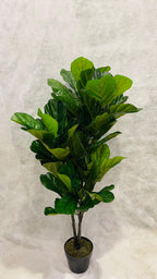 Artificial Ficus Lyrata on stem 120cm - THE GARDEN CENTRE