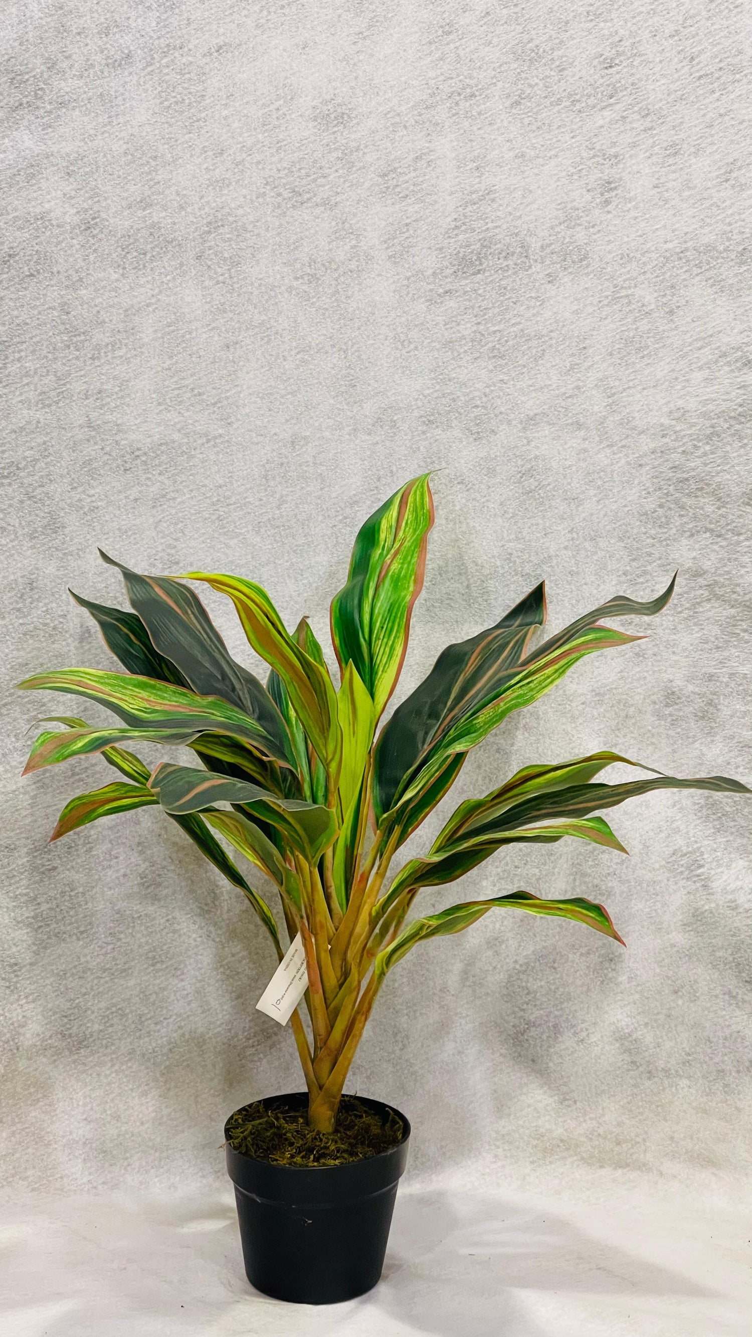 Artificial Cordyline Kiwi 60cm