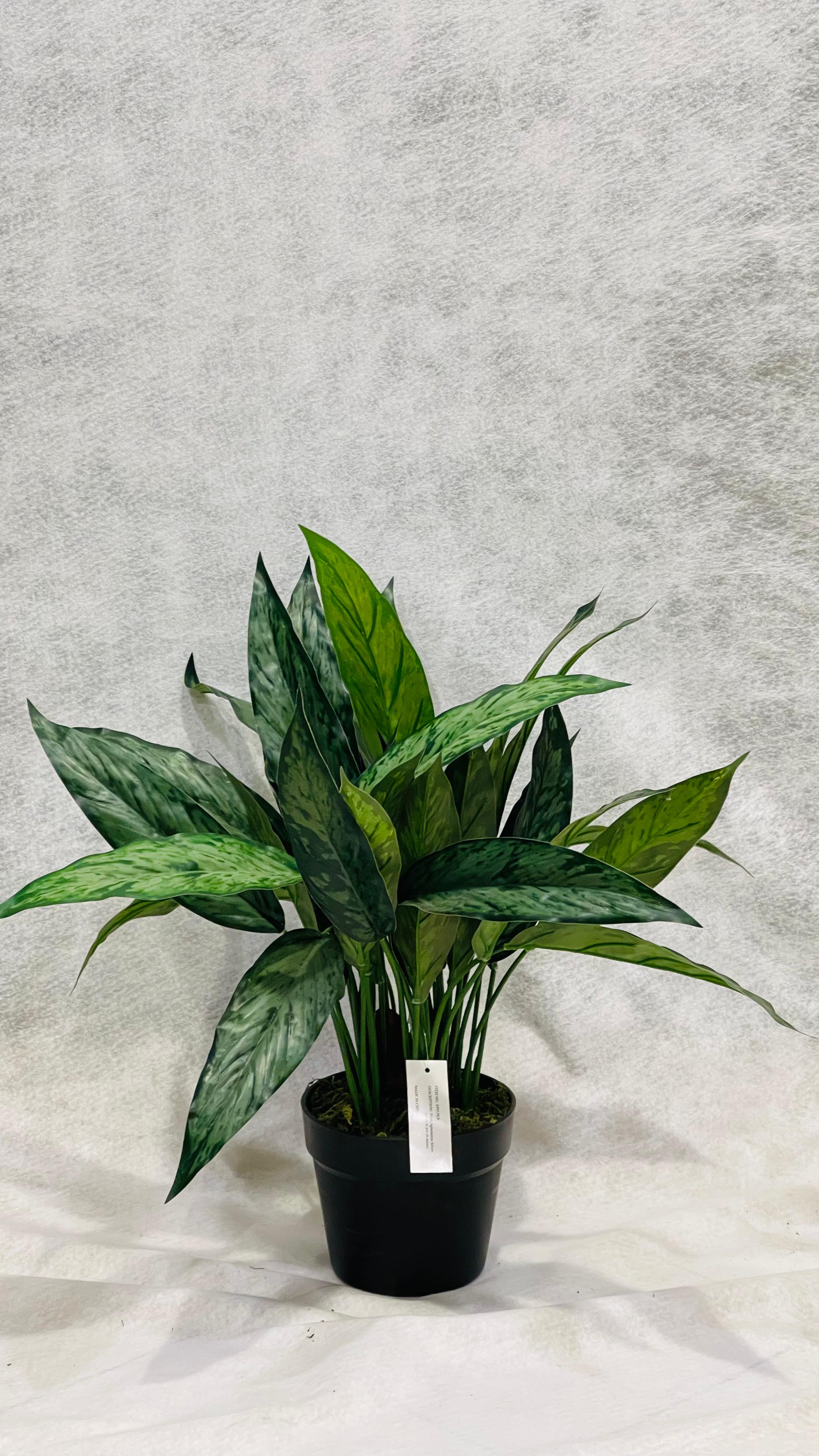 Artificial Aglaonema Varigated 50cm