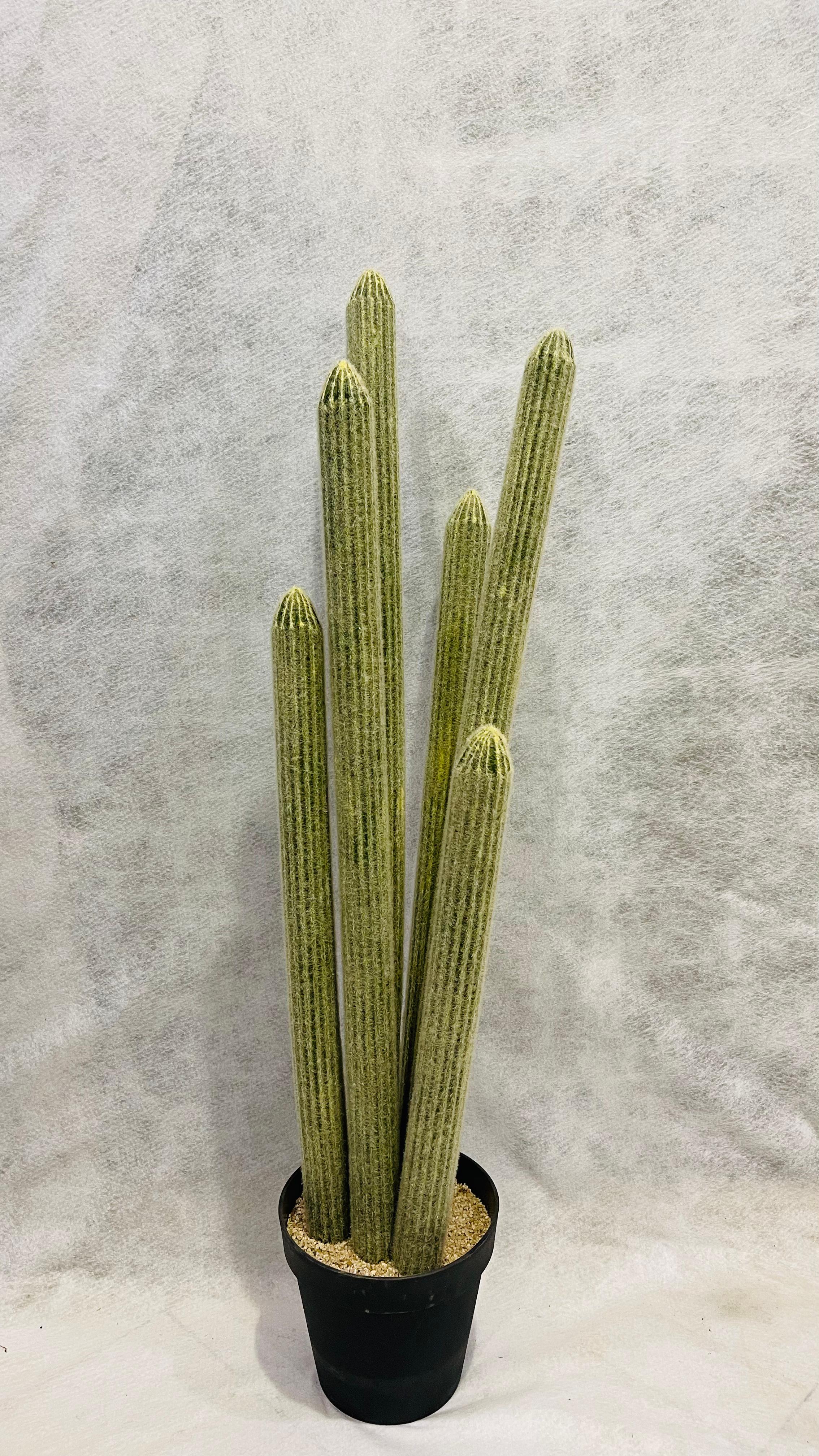 Artificial Cactus