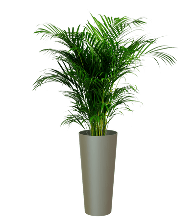 Porto High pot with insert - THE GARDEN CENTRE