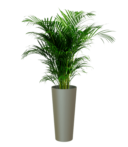 Porto High pot with insert - THE GARDEN CENTRE