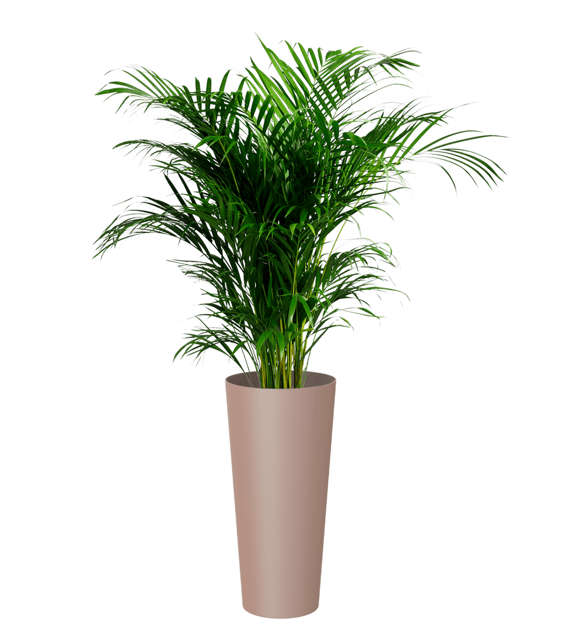 Porto High pot with insert - THE GARDEN CENTRE