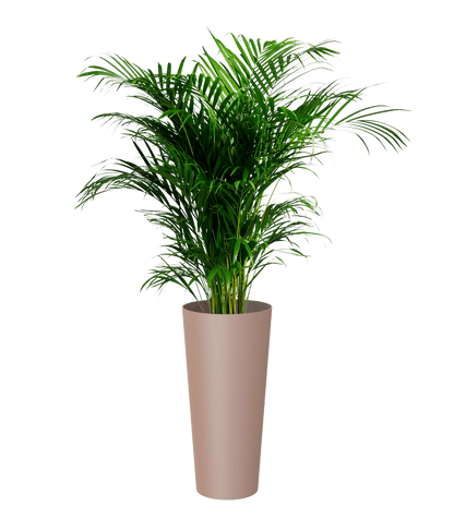 Porto High pot with insert - THE GARDEN CENTRE