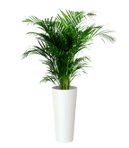 Porto High pot with insert - THE GARDEN CENTRE