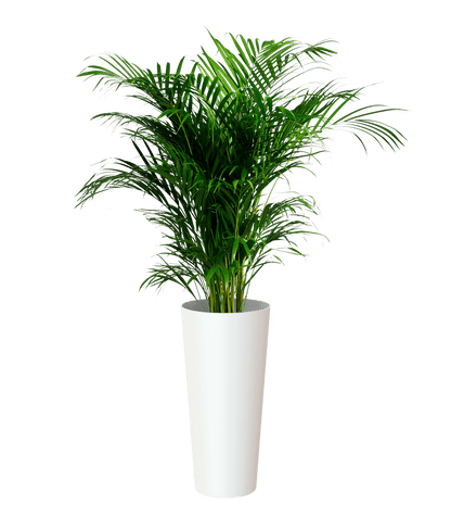 Porto High pot with insert - THE GARDEN CENTRE