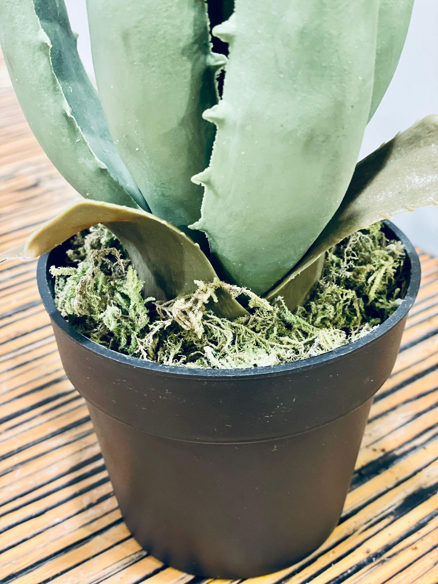 artificial aloe vera plant in pot Artificial aloe vera – THE GARDEN CENTRE