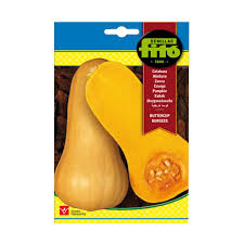 Fito Pumpkin-Butternut - THE GARDEN CENTRE