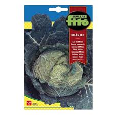 Fito Cabbage Mix