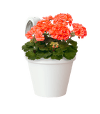 Capri balcony pot single - THE GARDEN CENTRE