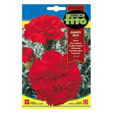 Fito Carnation giant - THE GARDEN CENTRE