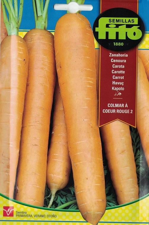 Carrot Touchon - THE GARDEN CENTRE